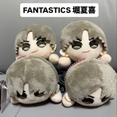 BOT 堀夏喜 BIGアクリルスタンド | Mercari