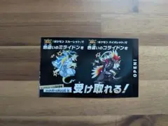 ポケモン　コライドン　ミライドン　色違い　スカーレット　バイオレット