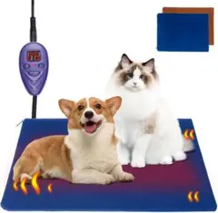 Item thumbnail for item f1ed3a3f-2ecf-4d7f-af15-87f9d18b906c