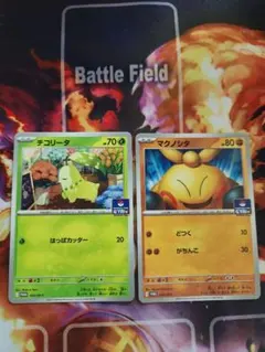 ポケモンカード チコリータ マクノシタ ジムプロモ2枚セット