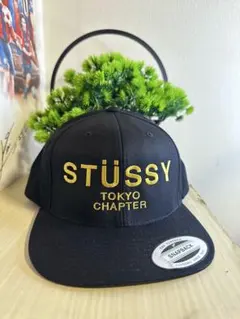 OLD STÜSSY TOKYO CHAPTER スナップバックキャップ