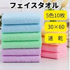 フェイスタオル　まとめ売り　１０枚セット 吸水　速乾　クマ　カラフル　アウトドア