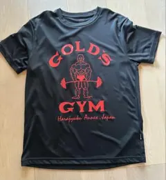 GOLD'S GYM XL Tシャツ 黒　美品