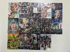 9月4日更新☆RIZINポテトスティック☆29枚+RIZINウエハース☆36枚