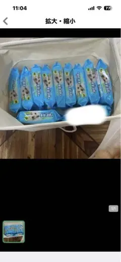 조이펫 엉덩이 물티슈 10개입