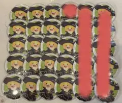 カラフルピーチ からぴち シヴァさん 魔法学園 缶バッジ 19個セット