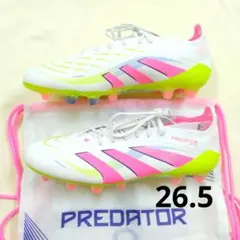 Item thumbnail for item 15183c12-9600-4da7-8b12-da41ffad78b8