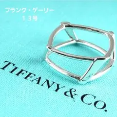 2026年最新】ティファニー フランクゲーリーの人気アイテム - メルカリ