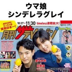 月刊ザテレビジョン ウマ娘シンデレラグレイ 切り抜き