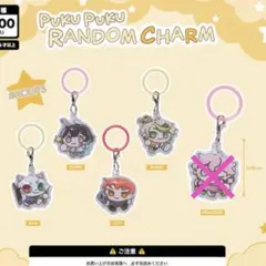CR LAND PRIZE ぷくぷくチャーム group3 クレイジーラクーン