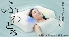 【未使用☀︎美品】女神の無重力枕　極上Float カバー付き【匿名配送】