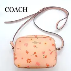 ☆国内未発売】コーチ COACH ショルダーバッグ フルーツ 未使用級 