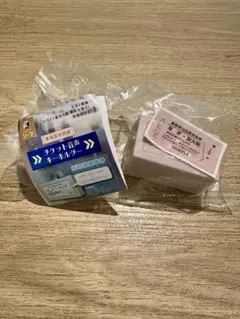 新品未開封 ひかり 車内アナウンス 東海道新幹線チケット音声キーホルダー