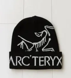 ビーニー y2k キャップ グランジ ブラック