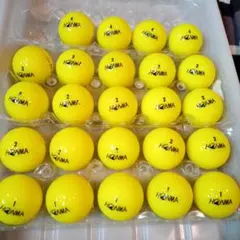 ロストボール アクセサリー