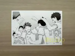 【新品】ハイキュー!! 10thクロニクル フォトカード 青葉城西高校