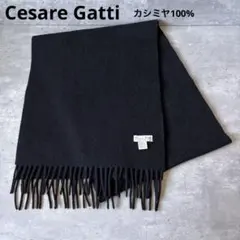 2026年最新】cesare gattiの人気アイテム - メルカリ