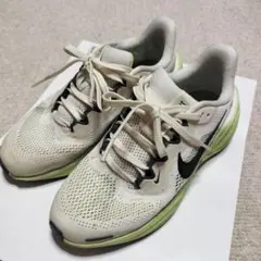 Nike ランニングシューズ ペガサス41☆22センチ