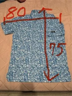 Item thumbnail for item 3c7d37d8-8672-4338-9033-cb7b0879a25f