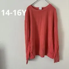 Item thumbnail for item 5ea0e655-31b2-4992-a364-0c4c4deec19c