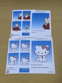 サンリオ　証明写真風スマロイド