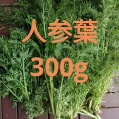 人参の葉  ¥680 人参の葉っぱ 人参の間引き菜 うさぎ、小動物のごはん 完全無農薬 300g