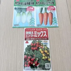 新品 レジナミックス 種 ミニトマト 約75粒 おまけ付 家庭菜園 ベランダ栽培のサムネイル