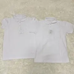 Item thumbnail for item aa2812c3-6aa0-4d23-8a2f-b3c3a9a8bf93