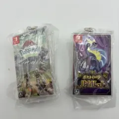 パッケージ＆ゲームカードキーホルダー ZA アルセウス ソード