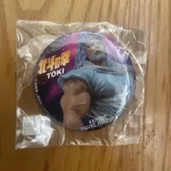 Item thumbnail for item 9618d582-471a-4fa3-8edb-fa780a20b823