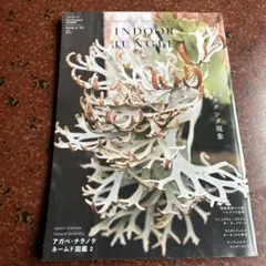 ビバリウムガイド　４月号増刊　INDOOR JUNGLE 特集　ビカクシダ現象