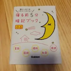 Item thumbnail for item 4f9171f8-63f6-4e93-b061-8844344dd95a