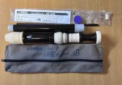 Item thumbnail for item 10a8cd46-8fad-4d47-a202-195a21a5c9b6