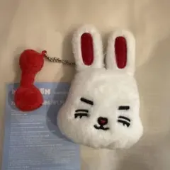 SEVENTEEN　ミニティーン　エスクプス　キーリング