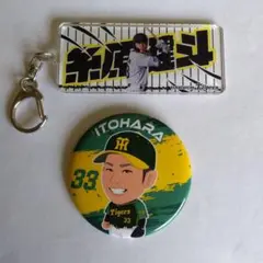 Item thumbnail for item c6b2c87d-5d17-40da-a8f8-05d4ca471c16