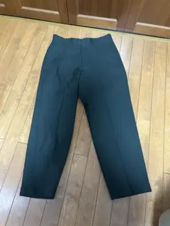 BEAMS アクションスラックス　Action slacksのサムネイル