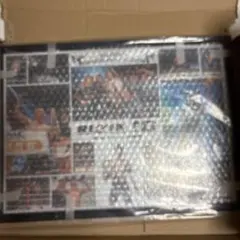 RIZIN10 堀口恭司 直筆サイン入り コラージュ写真 記念額装品 2026年最新】堀口恭司 サインの人気アイテム - メルカリ