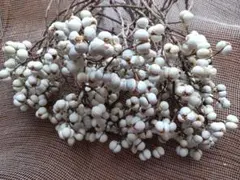 green様 リクエスト 3点 まとめ商品