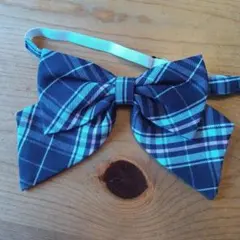 Item thumbnail for item 9f3a0509-9e8f-4f2c-a04f-79203be5df22