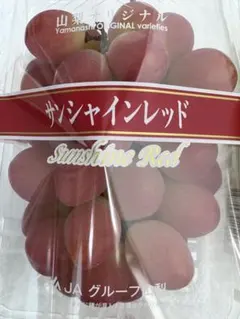 ⚠️クール便 特大サンシャインレッド - メルカリ
