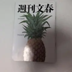 週刊文春 7月3日号