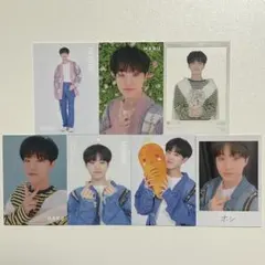 SEVENTEEN HARU ホシ トレカ