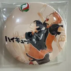 ハイキュー!! 原作缶バッジ コレクション缶バッジ 影山飛雄 日向翔陽