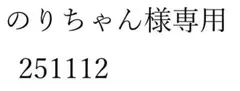 のりちゃん様専用 251112