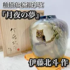 美品「伊藤北斗」作 釉描色絵銀彩筥『月夜の夢』共箱付 壺 つぼ 花瓶 2025年最新】伊藤北斗の人気アイテム - メルカリ