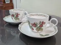 ノリタケ　ロイヤルオチャード　カップソーサー　2客