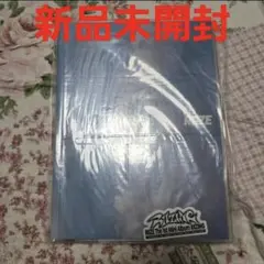 RIIZE RIZING コレクトブック　ラスト