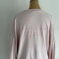 アリシアスタン ロゴ ロンT ロングTシャツのサムネイル