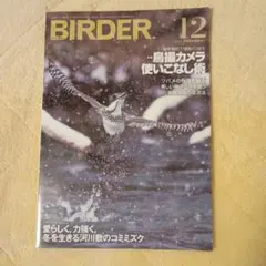 BIRDER 2025年12月号