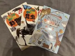 動物、昆虫の塗り絵3冊セット　未就学児〜小学校低学年